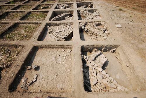 Archaeological field school and conservation workshops 2012