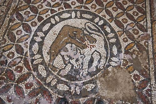 The mosaics in Stobi uncovered for the new touristic season