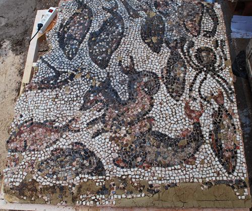 The Mosaic in the House of Peristeria